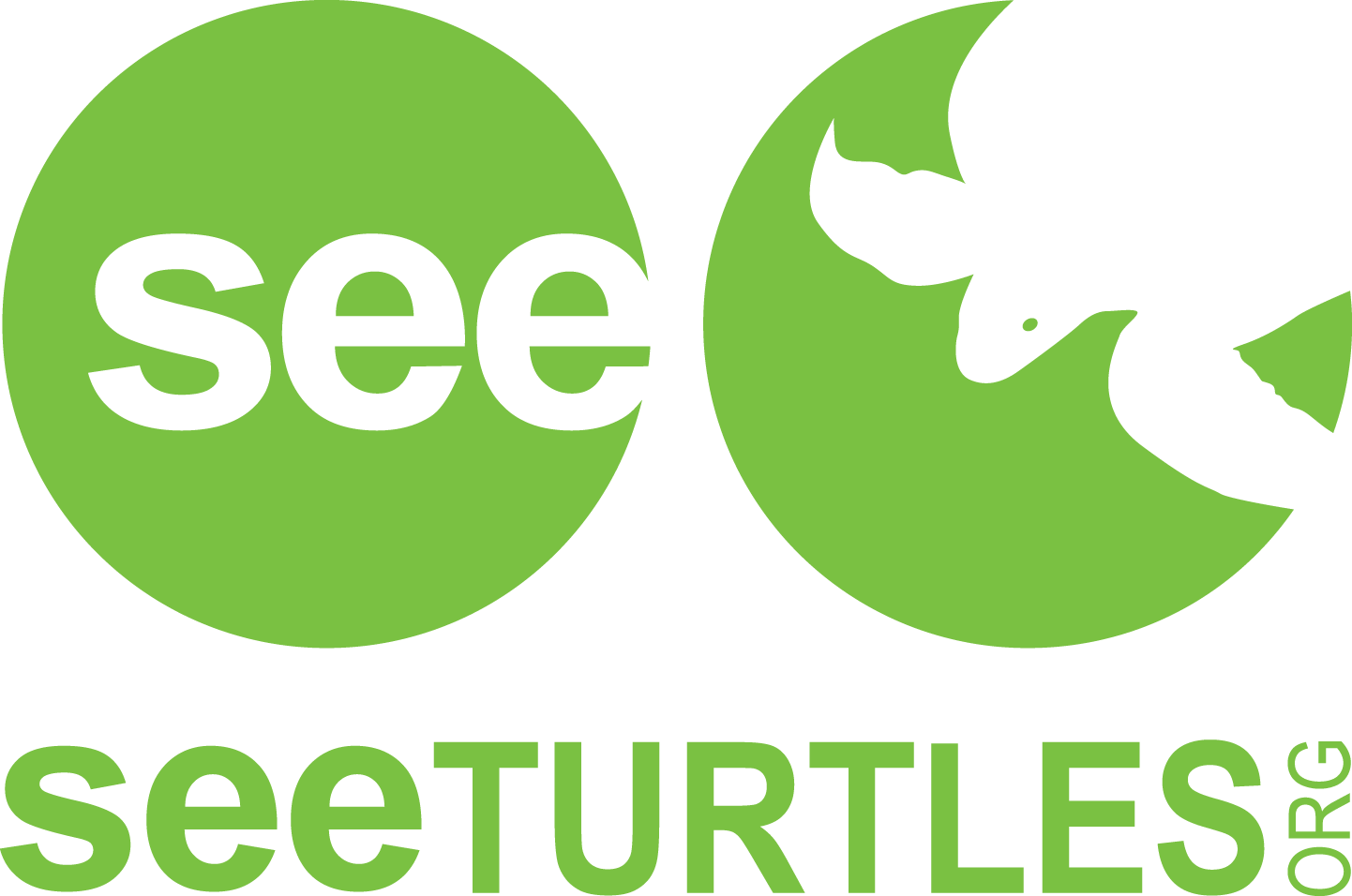 See Turtles Logo