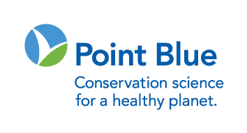 point blue